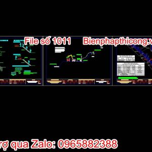 Ban-ve-file-tong-1011